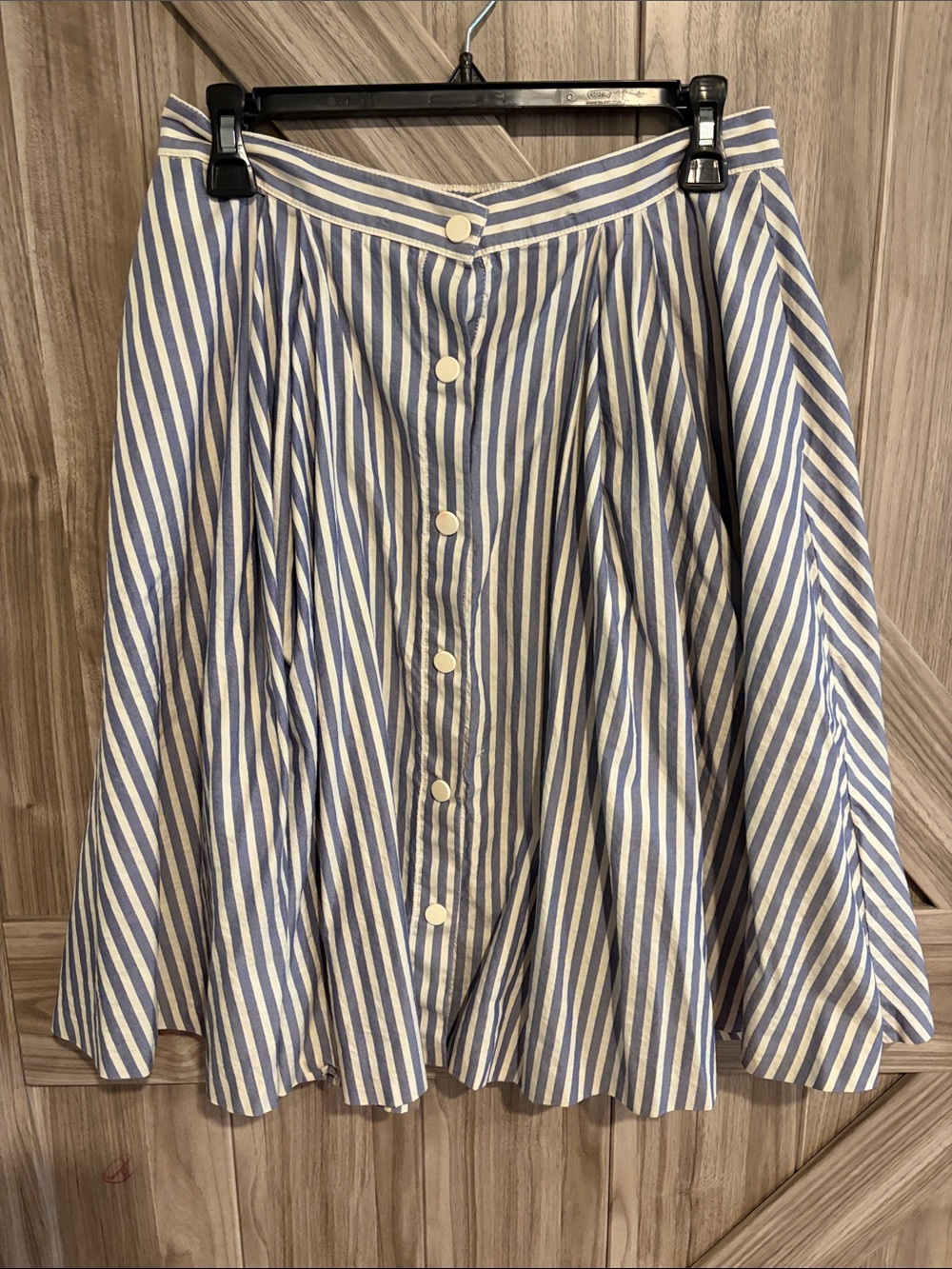 Zara Blue and White Striped Button-Front Circle Skirt